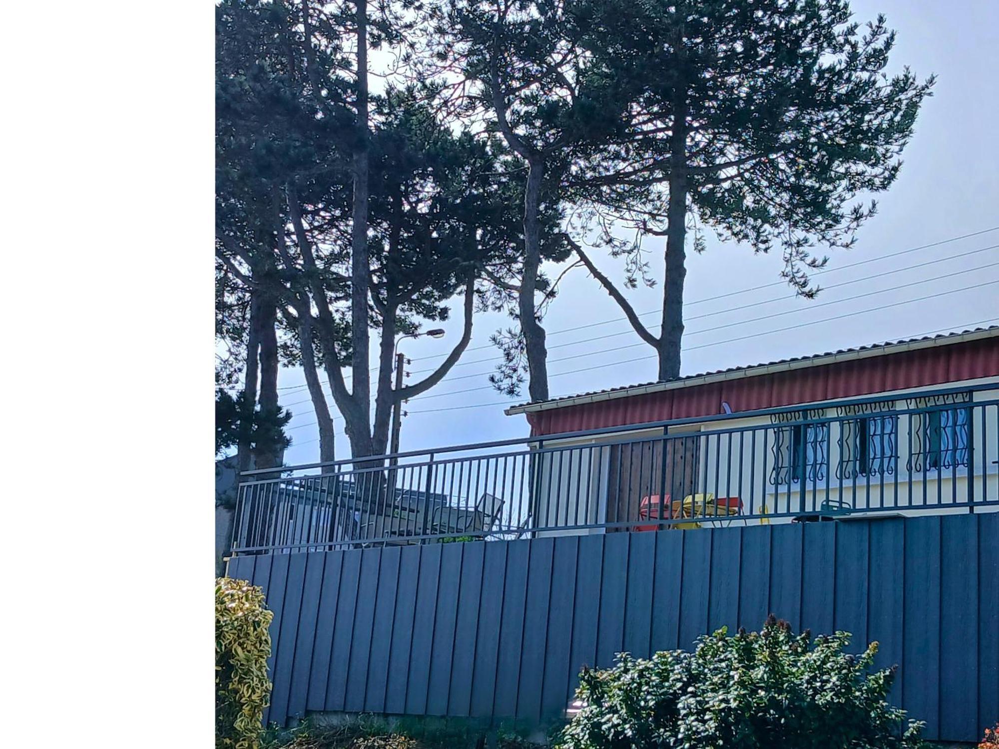 Le Domaine Des Pins - Maison 2 Chambres Vue Mer Le Tréport Eksteriør bilde